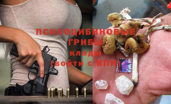 jwh Абаза
